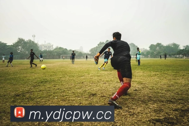 网上购彩票平台生态图